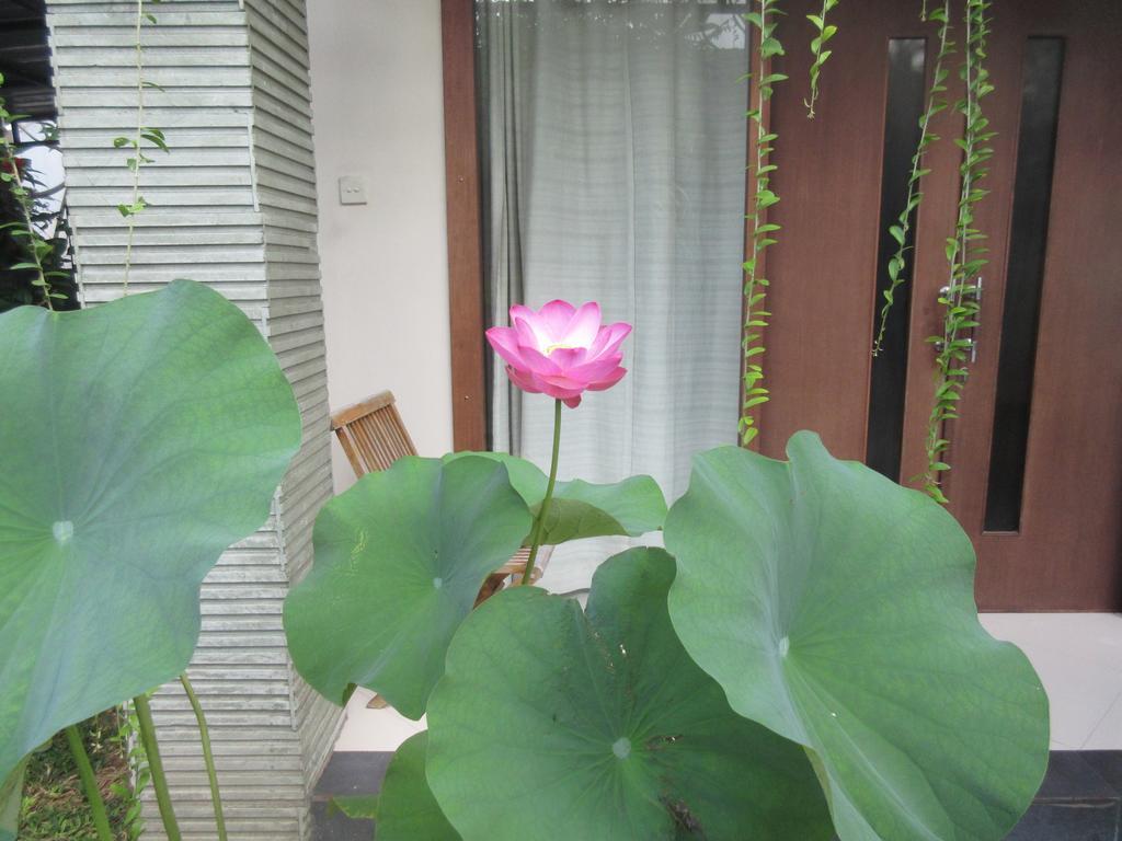 Rika Sanur Homestay Exterior foto
